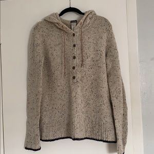 Patagonia hooded sweater